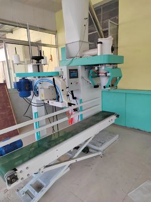 ±0.25g 포장 정확도, PLC 제어 시스템 및 고효율을 위한 380V 맞춤형 모터를 갖춘 과립 포장기